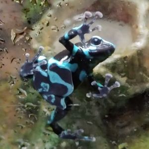 Meet your Posher, Krystal